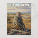 Buscar babuinos postales Vida silvestre