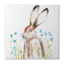 Buscar liebres azulejos Naturaleza