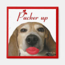 Buscar beagles imanes Divertido
