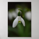 Buscar primeras nevadas posters Naturaleza