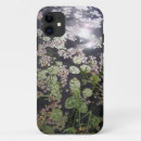 Buscar lilypads Naturaleza