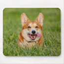 Buscar césped alfombrillas de raton Ratón