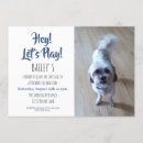 Buscar foto del perro invitaciones Perros
