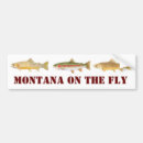 Buscar moscas pegatinas parachoque Pesca