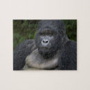 Buscar gorila de montaña puzzles África