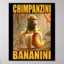 Buscar boina posters Meme de boina