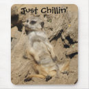 Buscar chillin electronica Escalofrío