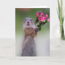 Buscar ardilla tarjetas Para él