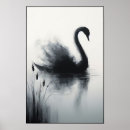 Buscar cisnes posters General y unisex