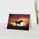 Buscar caballo de carreras tarjetas Equino