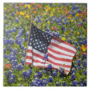 Buscar american azulejos Blanco