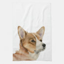 Buscar corgi Animal
