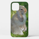 Buscar rabbit iphone fundas Conejito