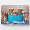 Buscar cubo placas fotograbadas Mar