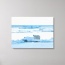 Buscar oso polar lienzos Iceberg