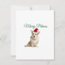 Buscar corgi del tarjetas de navidad Vacaciones