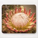 Buscar protea alfombrillas de raton Naturaleza