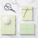 Buscar pistacho papel de regalo Menta