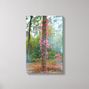 Buscar anime lienzos Paisaje