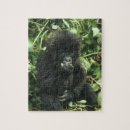 Buscar gorila de montaña puzzles Vida silvestre