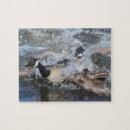 Buscar gorda puzzles Naturaleza