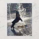 Buscar perro negro postales Vertical
