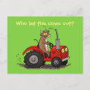 Buscar vacas divertidas postales Ganado