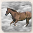 Buscar caballo corriente Animal