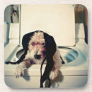 Buscar parte del cuerpo posavasos Dentro