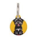 Buscar peludo collares Cachorro