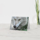 Buscar wolf tarjetas Lobo