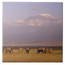 Buscar kenia azulejos Elefante