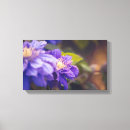 Buscar flores violetas lienzos Florecer