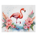 Buscar flamenco rosa posters Para niños