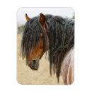 Buscar cabeza de caballo imanes Animales