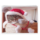 Buscar gatitos calendarios Animales
