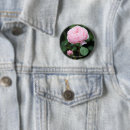 Buscar arbustos chapas Flores rosadas