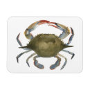 Buscar cangrejos imanes Mariscos