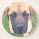 Buscar ingleses posavasos Perro