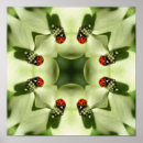 Buscar ladybug arte Flor