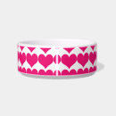 Buscar del gato accesorios Moderno