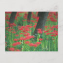 Buscar saludos de japón postales Rojo