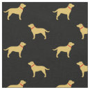 Buscar retriever telas Labrador
