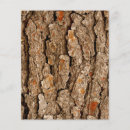 Buscar textura album accesorios Madera