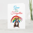 Buscar mi pitbull mascotas Para todos