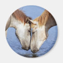 Buscar caballo del amor imanes Animales
