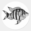 Buscar peces marinos pegatinas Animales