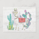 Buscar bolivia postales Cactus