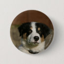 Buscar foto vieja pins Collie frontera