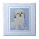 Buscar hueso de perro azulejos Animales